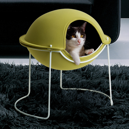 Pod Cat Or Dog House