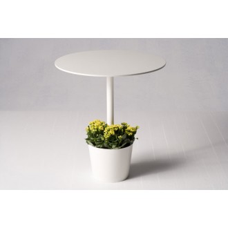 potted table