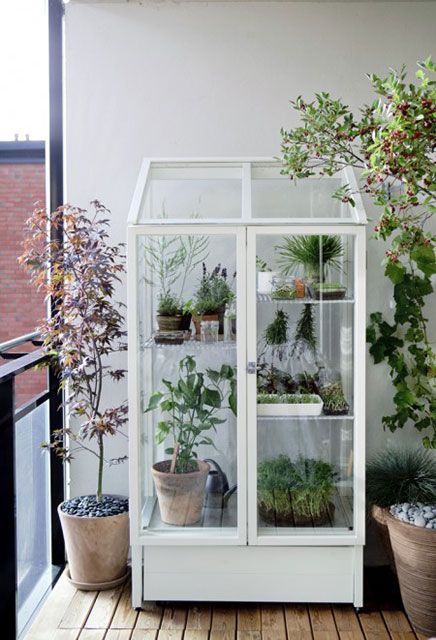 a white glass armoire as a grene house for a balcony, place any plants and blooms in pots there