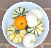 a bowl with natural and non-painted pumpkins is a cool fall centerpiece or just decoration