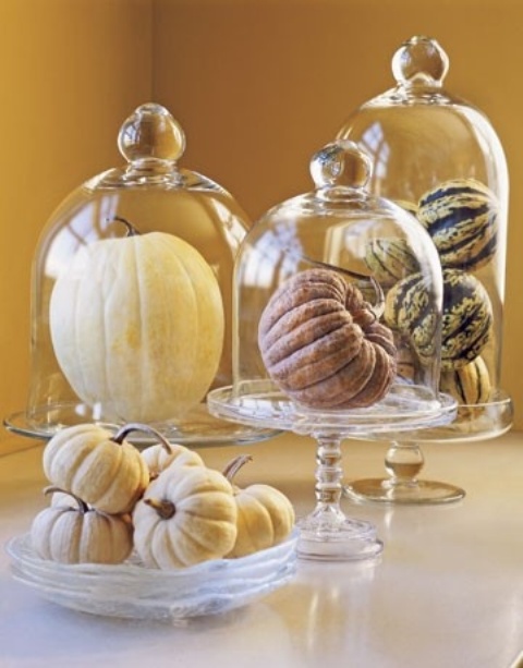 nautrla pumpkins in cloches and in a bowl are easy and stylish modern rustic decor for your home