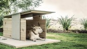 Puphaus Stylish Modern Digs For Your Dog