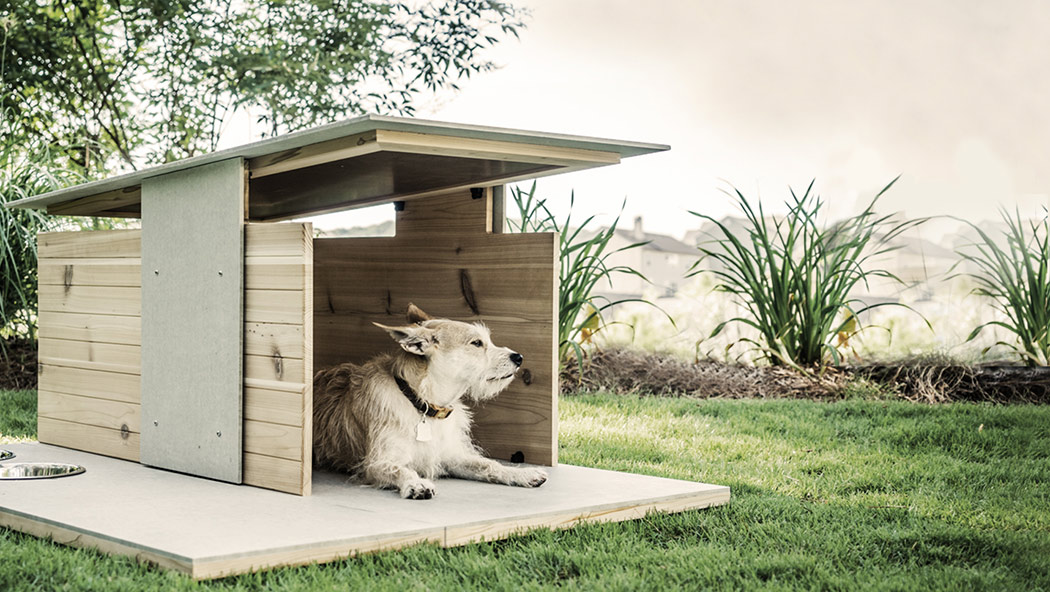 Puphaus Stylish Modern Digs For Your Dog