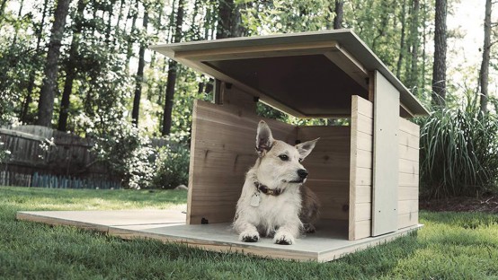 Puphaus Stylish Modern Digs For Your Dog