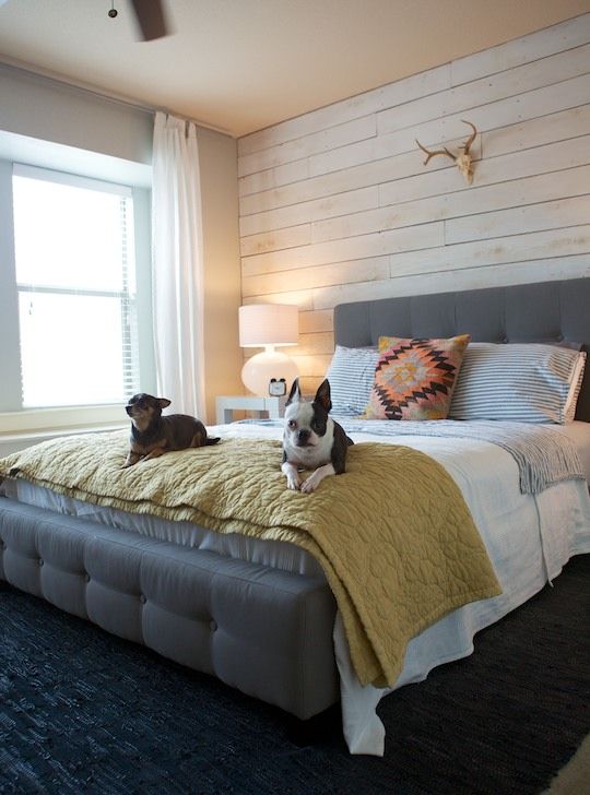 a whitewashed wooden wall gives a cozy farmhouse feel to this modern bedroom and brings more eye-catchiness