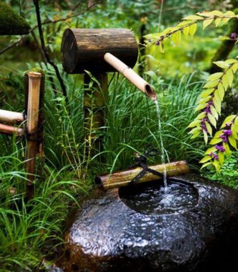 grasses, blooming plants, a bamboo and stone fountain make up a chic and cool Japanese front yard