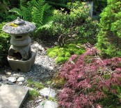 moss, rocks, pebbles, shrubs, small trees and a stone Japanese lantern for a lovely Japanese garden