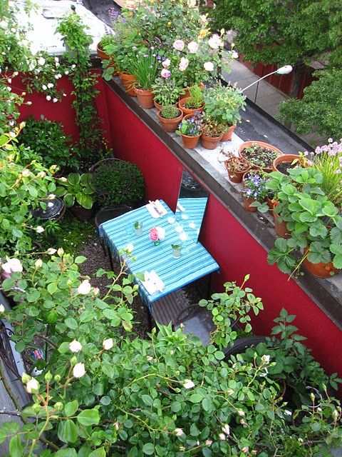 If the weather allows you can grow lots of things on a rooftop terrace. You can even create a small vegetable garden there.