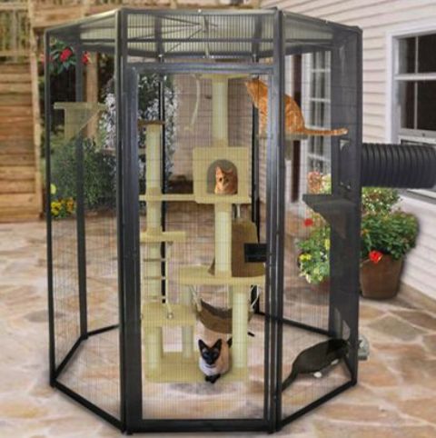 a small black cat cage with a large cat tree can be enough for several cats
