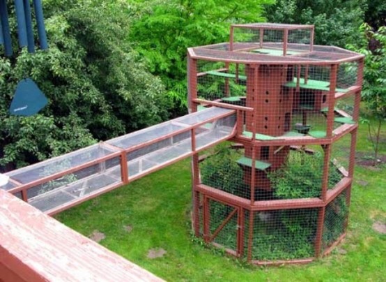 a large outdoor cat tower with greenery, shelves and cat trees plus a cat tunnel to go inside and outside