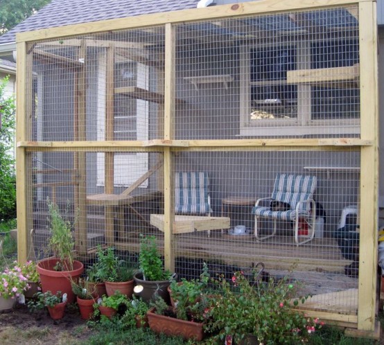 an outdoor cat and human patio with a deck, chairs, shelves and cat trees is a cool space for both cats and their owners