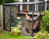 a large catio for several cats, with a shelf, tree branches and stumps, a fountain for drinking and a folding chair