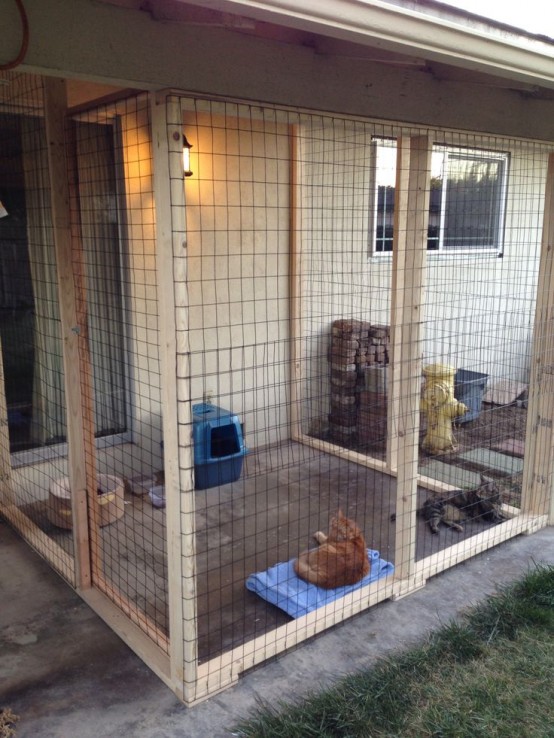 41 Safe And Smartly Organized Cat Enclosures - DigsDigs