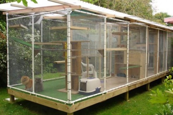 an oversized cat patio under a roof, with a grean lawn, plywood cat trees and beds at various levels plus cat toilets