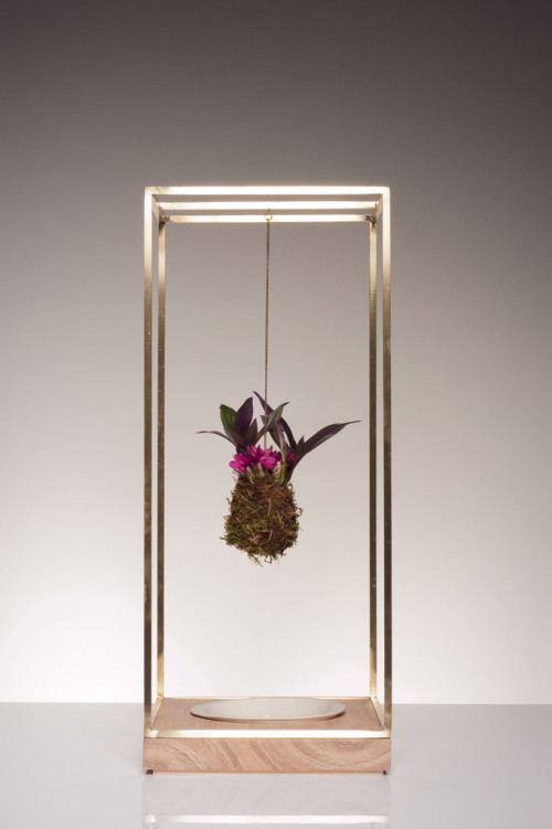 Sculptural Plant Bondage To Bring Nature Inside