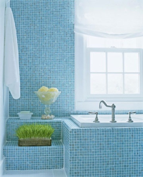 a light blue bathroom with touches fo white, some greenery growing and sponges in a glass bowl