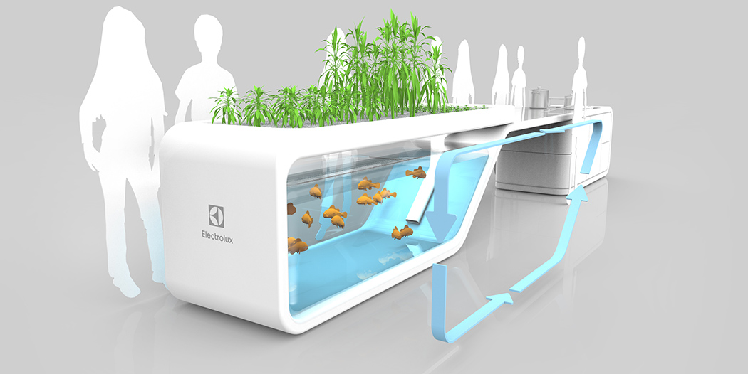 Self Sustaining Future Kitchen With Fish And Plants
