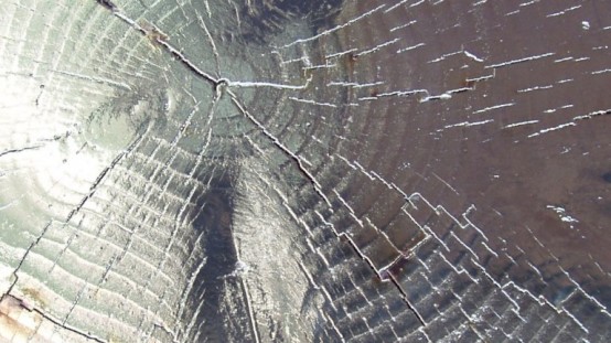 Silver Tables Of Fir With All Imperfections