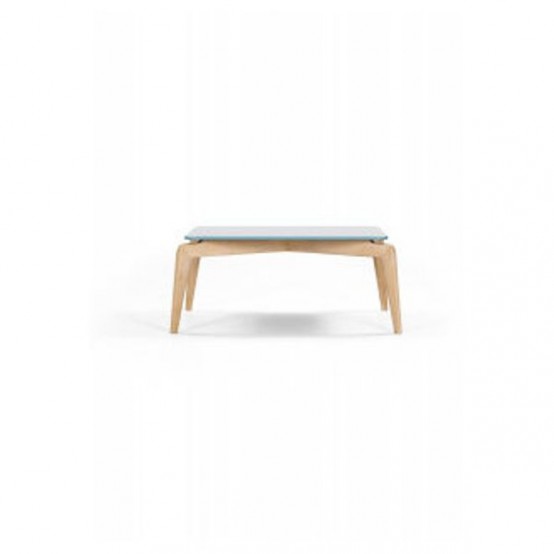 Simple But Stylish Coffee Table