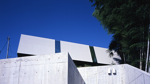 Skew House On The Cliff