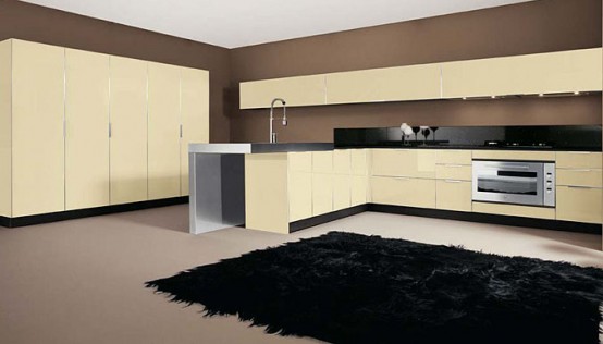 Sleek Glossy Kitchen Design