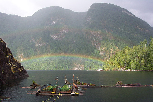 smallcabin_floating_house-3 smallcabin_floating_house-3