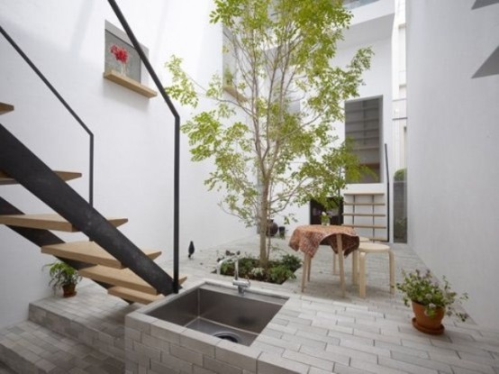a single tree growing in the courtyard and some potted greenery for a cozy and fresh look in the city jungle