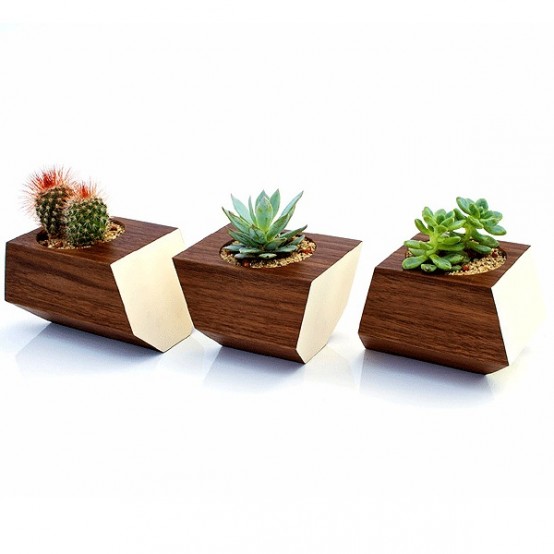 Stylish Natural Walnut Boxcar Planter For Succulents