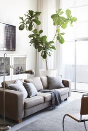 an airy neutral living room with a double-height window, grey and white furniture, a statement plant, a leather chair feels edgy and fresh