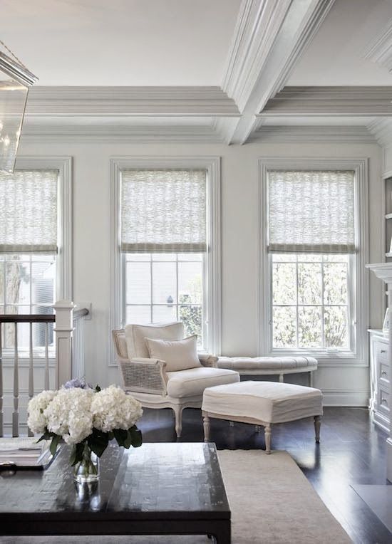 delicate and subtle Roman shades make the windows look dressed and chic and give more privacy to the house when in need