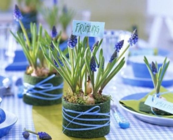 spring bulbs in pots wrapped with moss are great for centerpieces