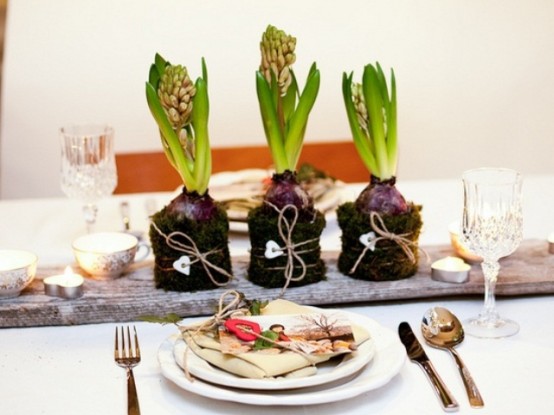 spring bulbs wrapped with moss and placed on a wooden plank