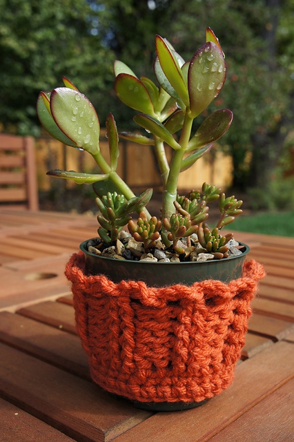 a potted plant with a red cozie is a lovely idea for a fall space, it will give a touch of color and texture to the space