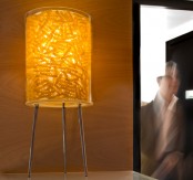Table Lamp With Awesome Shade