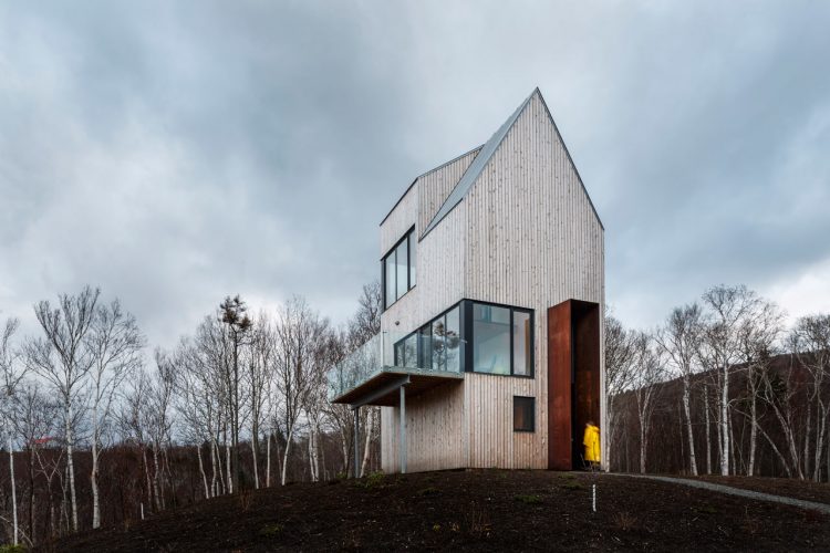 Tall And Narrow Wooden Cabin House In Nova Scotia - DigsDigs