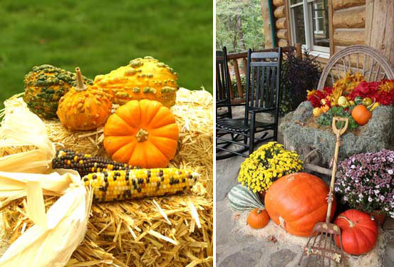 real gourds, pumpkins and corn cobs, bright blooms and vegetables can be used for both indoor or outdoor decor at Thanksgiving