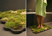 the moss carpet