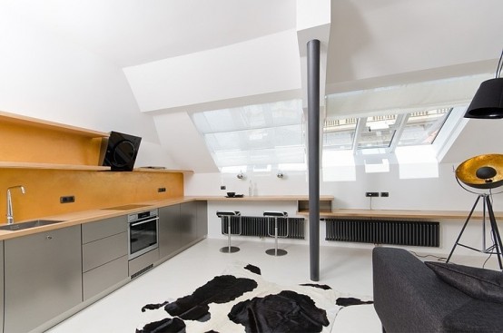 Tiny Minimalist Black And White Loft In Prague