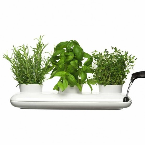 Trio Herb Pot