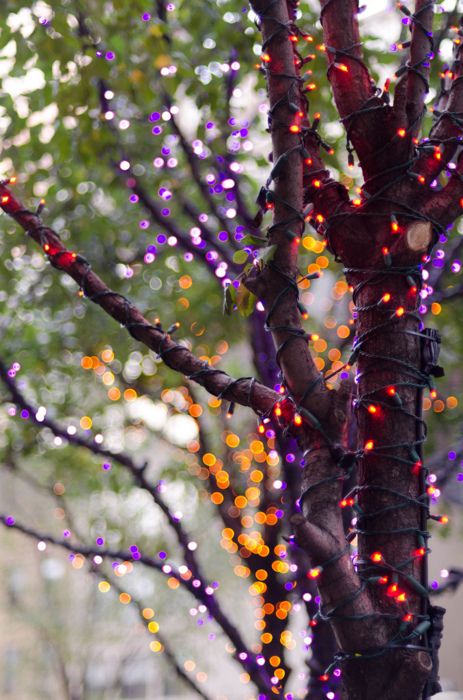 trees wrapped with purple, orange and red lights are cool for outdoor Halloween decor and can be easily applied