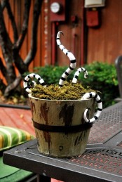 an old bucket with moss and striped snakes is inspired by Nightmare Before Christmas