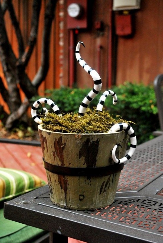 an old bucket with moss and striped snakes is inspired by Nightmare Before Christmas