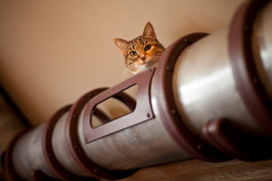 Unique Cat Tunnel In Steampunk Style Right At A Home Office