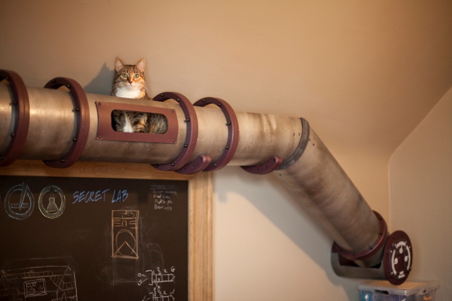 Unique Cat Tunnel In Steampunk Style