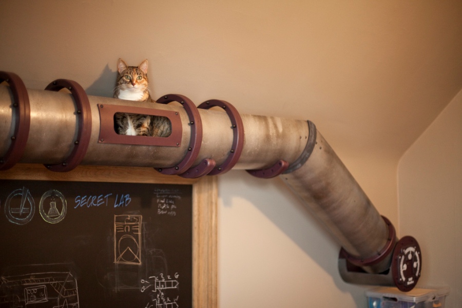 Unique Cat Tunnel In Steampunk Style Right At A Home Office - DigsDigs