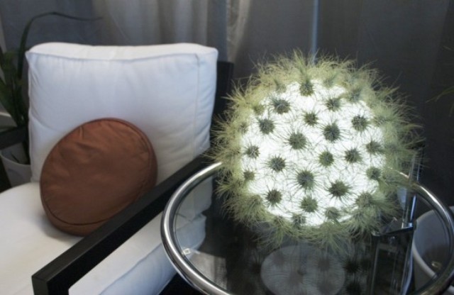 a fluffy ball table lamp in green reminds of a unique cactus on your table is a cool and bold light idea