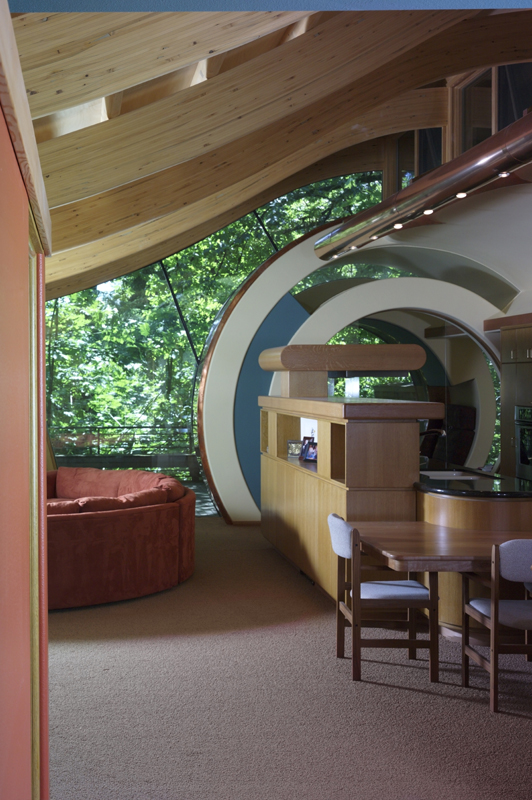 Unusual Forest Home