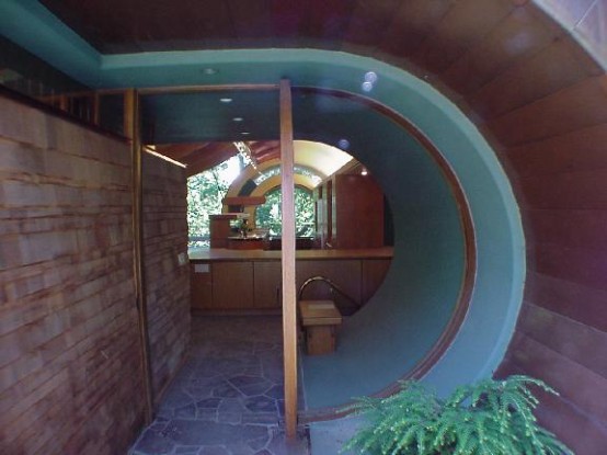 Unusual Forest Home