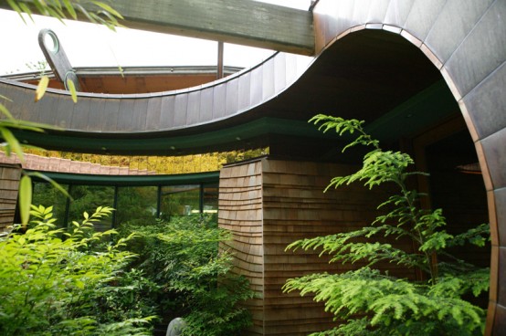 Unusual Forest Home