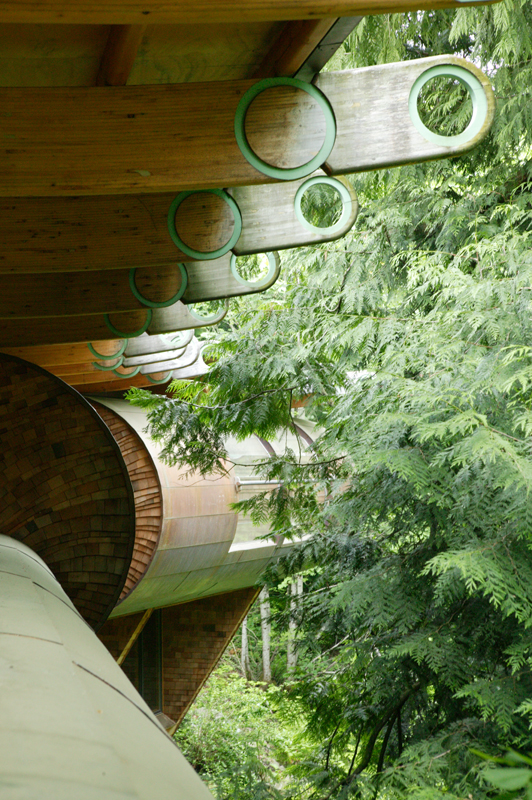 Unusual Forest Home
